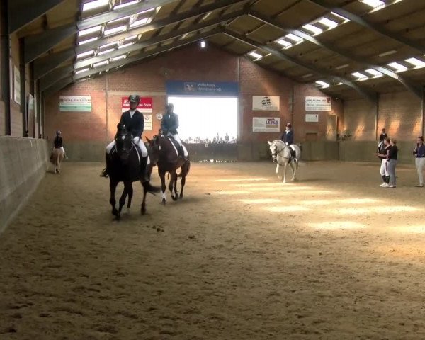 Reitturnier Kirchhoven-Vinn 2021