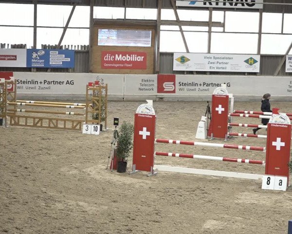Reitturnier Henau 2023