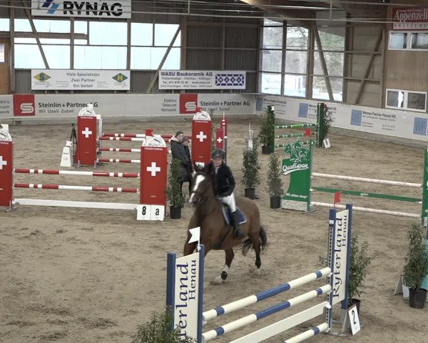 Reitturnier Henau 2023