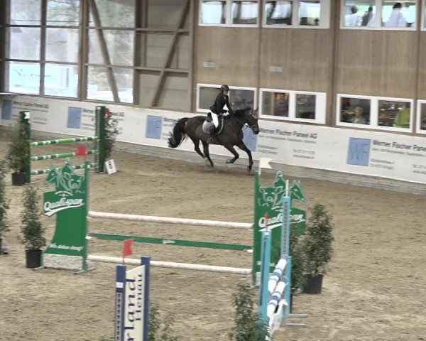 Reitturnier Henau 2023
