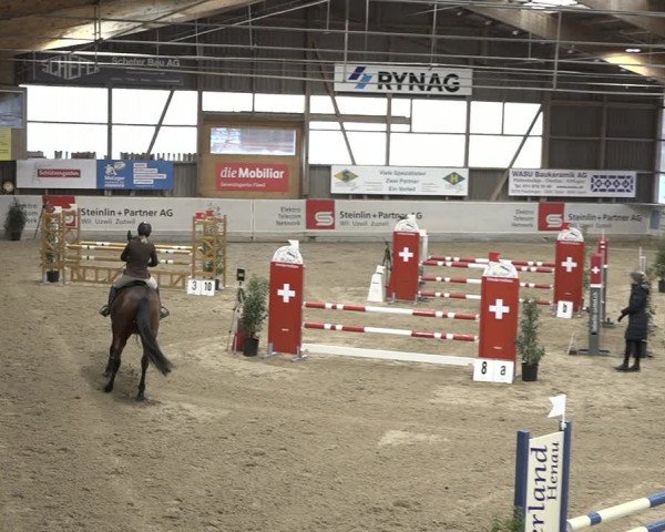 Reitturnier Henau 2023
