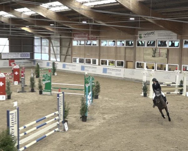 Reitturnier Henau 2023