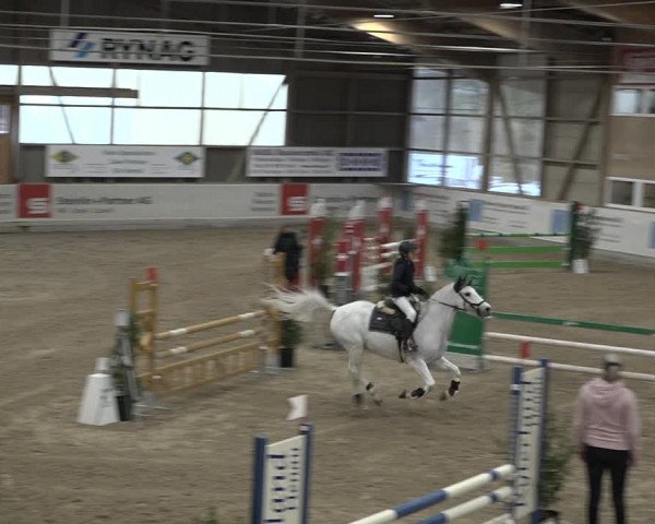 Reitturnier Henau 2023