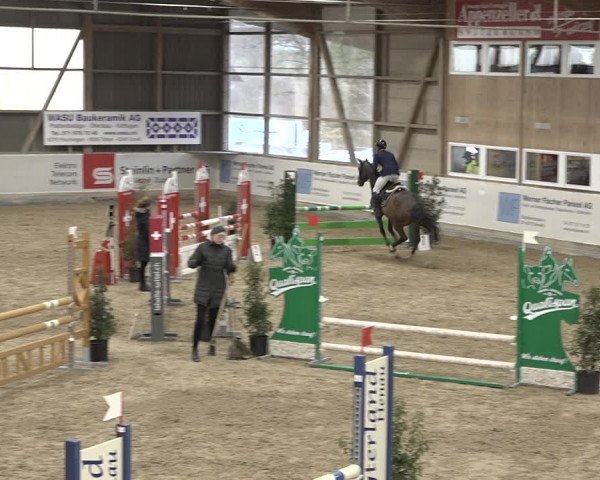 Reitturnier Henau 2023