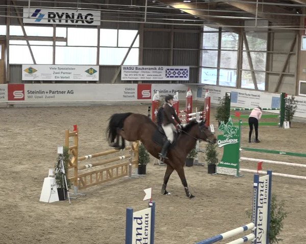 Reitturnier Henau 2023