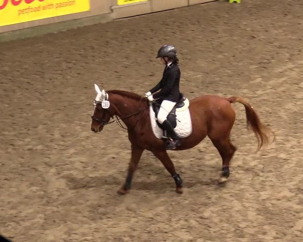 Reitturnier Leck 2023