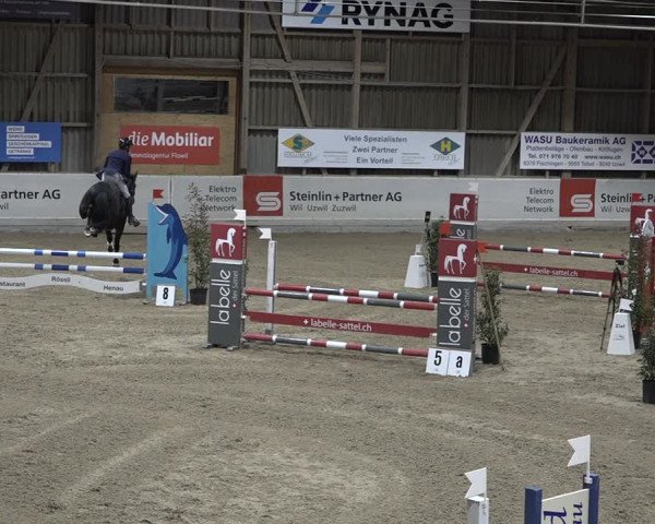 Reitturnier Henau 2023