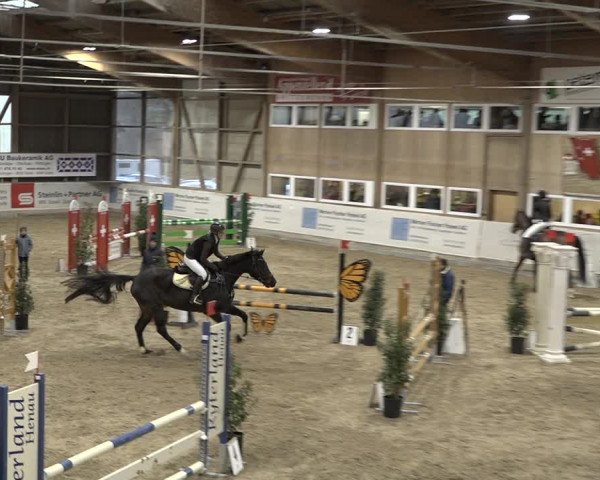 Reitturnier Henau 2023