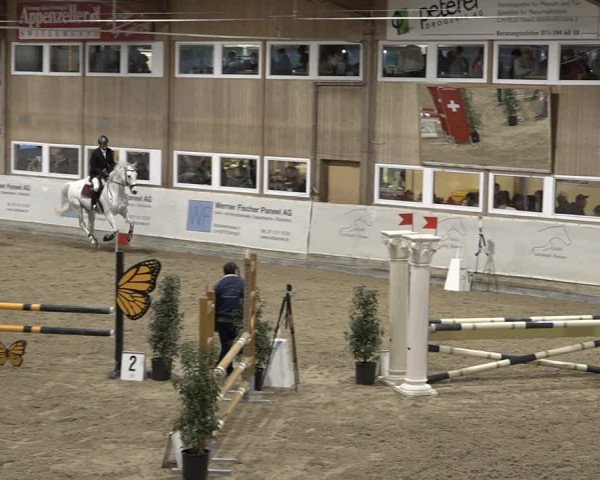 Reitturnier Henau 2023
