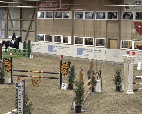Reitturnier Henau 2023