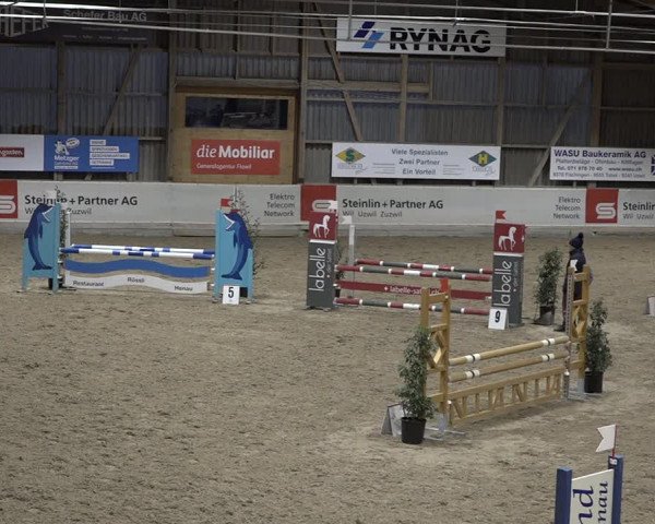 Reitturnier Henau 2023