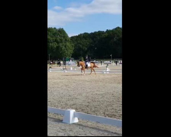 Video of Der Glückspilz
