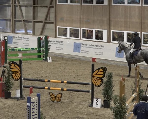 Reitturnier Henau 2023