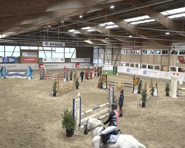 Reitturnier Henau 2023