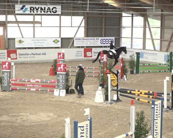 Reitturnier Henau 2023