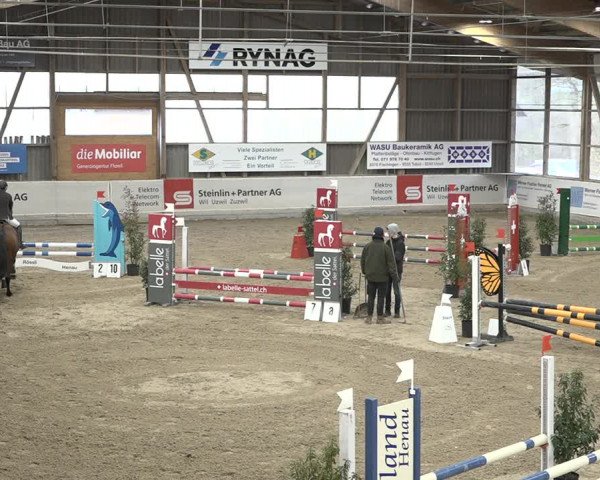 Reitturnier Henau 2023