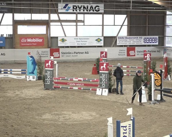 Reitturnier Henau 2023