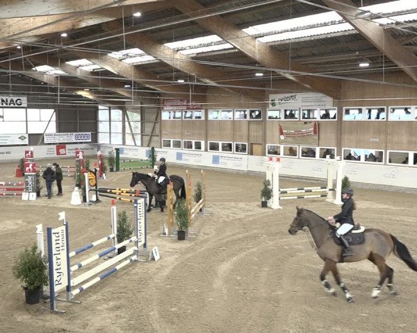 Reitturnier Henau 2023