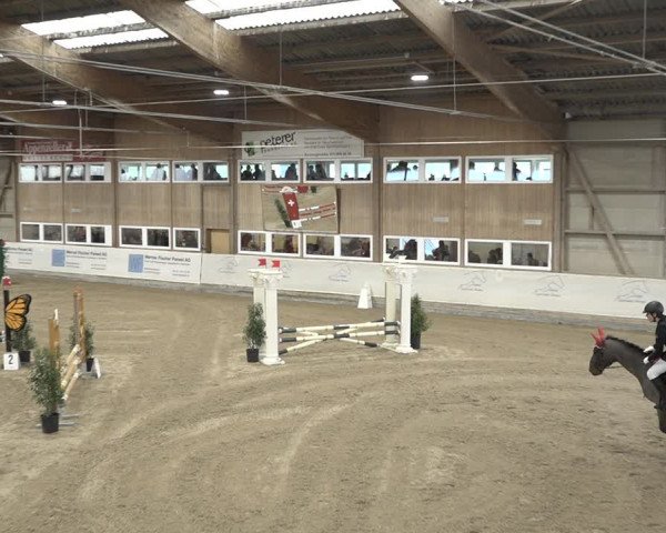 Reitturnier Henau 2023
