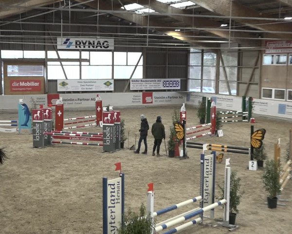 Reitturnier Henau 2023