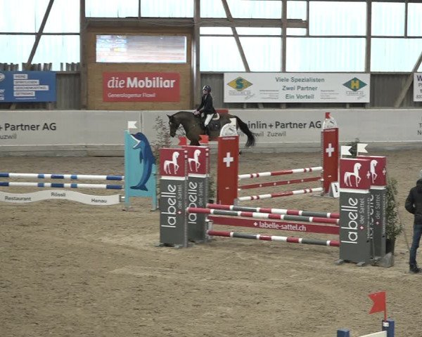 Reitturnier Henau 2023