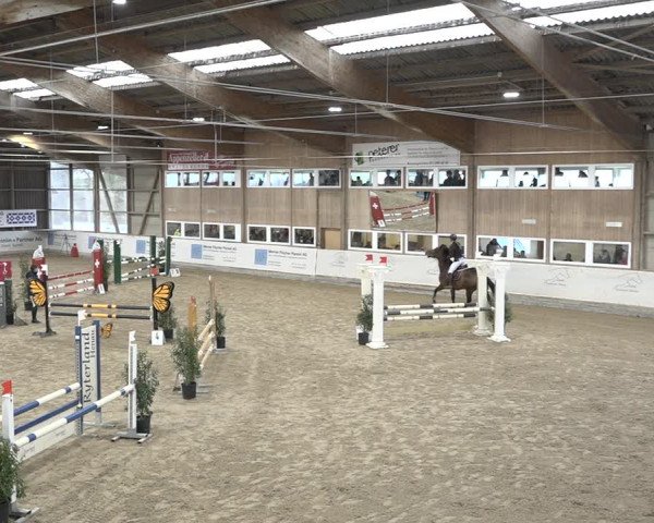Reitturnier Henau 2023