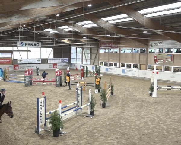 Reitturnier Henau 2023