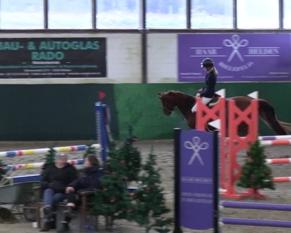 Reitturnier Jöllenbeck-Reitanlage Sonntag 2023