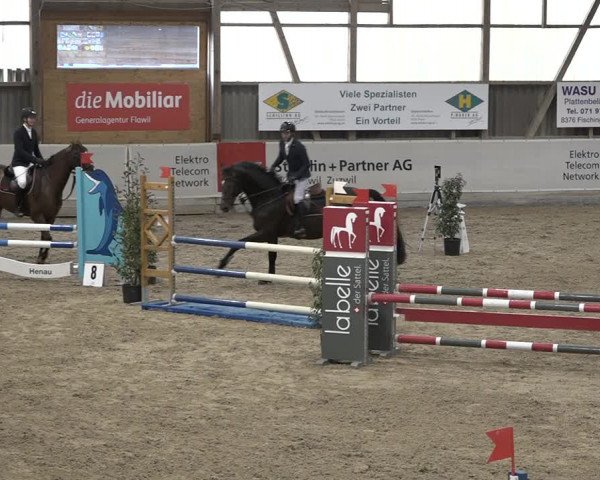 Reitturnier Henau 2023