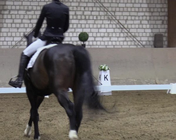 Reitturnier Kamen 2023