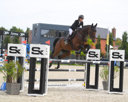 jumper Forever 158 (KWPN (Royal Dutch Sporthorse), 2010, from Whitesnake)