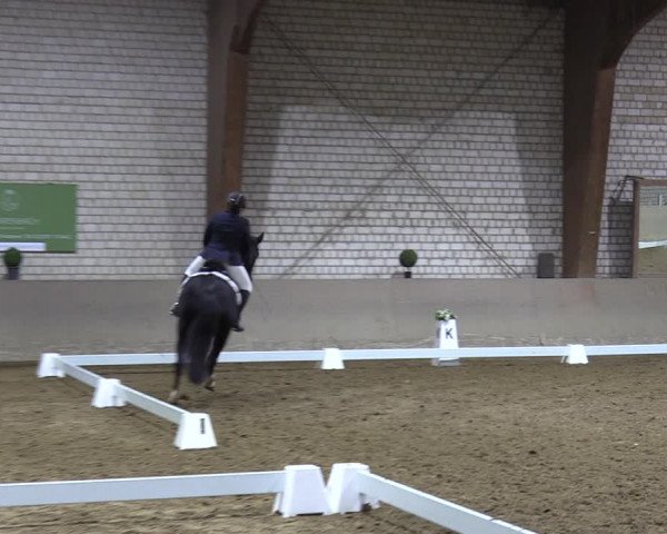 Reitturnier Kamen 2023