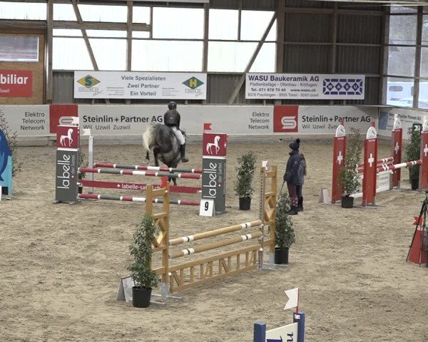 Reitturnier Henau 2023
