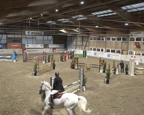 Reitturnier Henau 2023