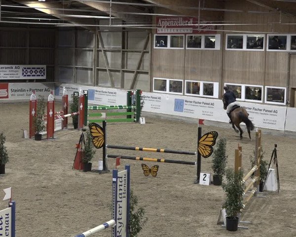 Reitturnier Henau 2023