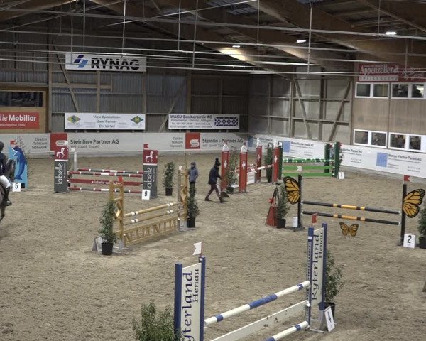 Reitturnier Henau 2023