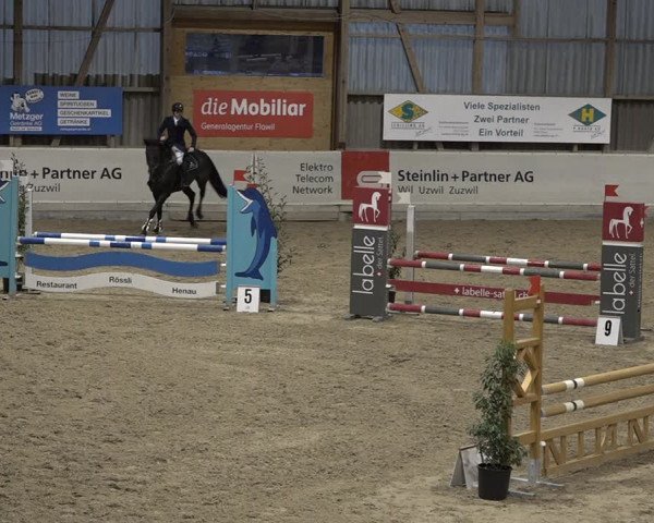 Reitturnier Henau 2023