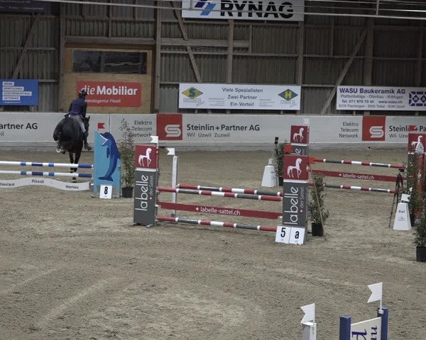 Reitturnier Henau 2023
