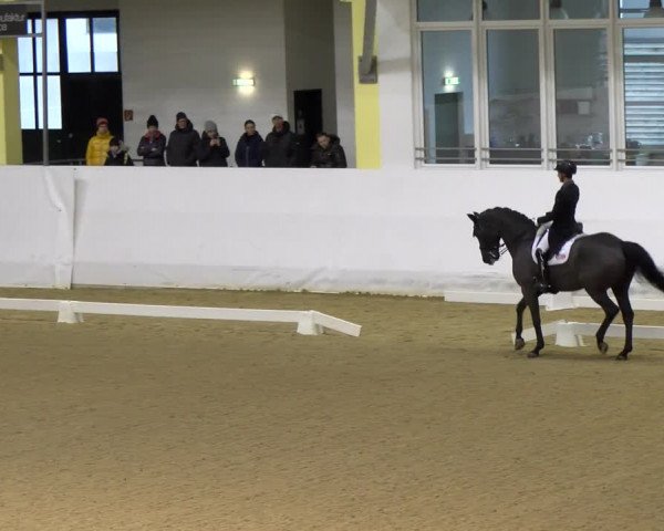 Reitturnier Stadl-Paura 2023