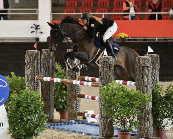 jumper Lacosella (Holsteiner, 2017, from Lamaze 3)