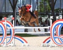 jumper Chiara 323 (Oldenburg, 2009, from Check In 2)