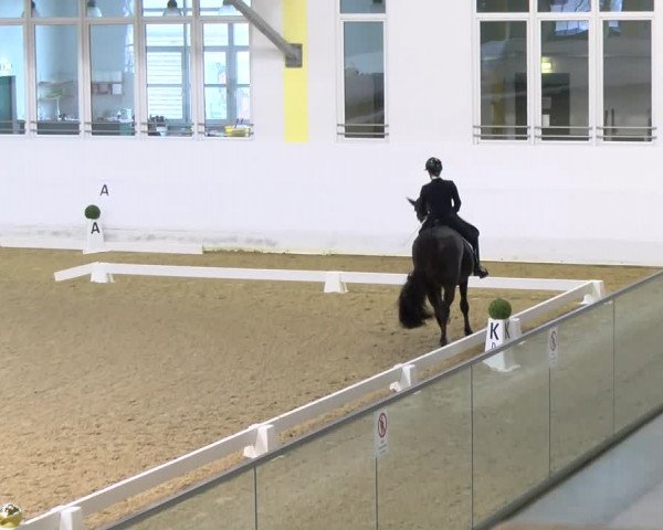 Reitturnier Stadl-Paura 2023