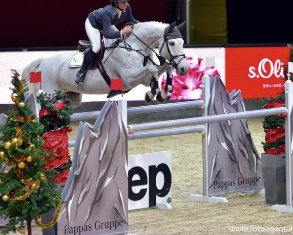 jumper Zauberfee 33 (Belgian Warmblood, 2004, from Landprinz)