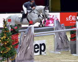 jumper Zauberfee 33 (Belgian Warmblood, 2004, from Landprinz)