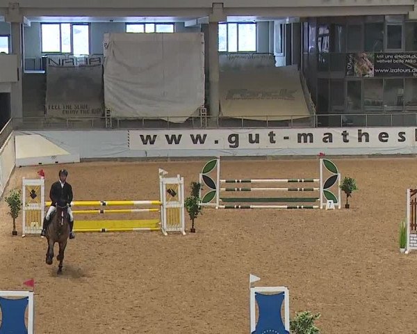 Reitturnier Kreuth/Opf. 2023