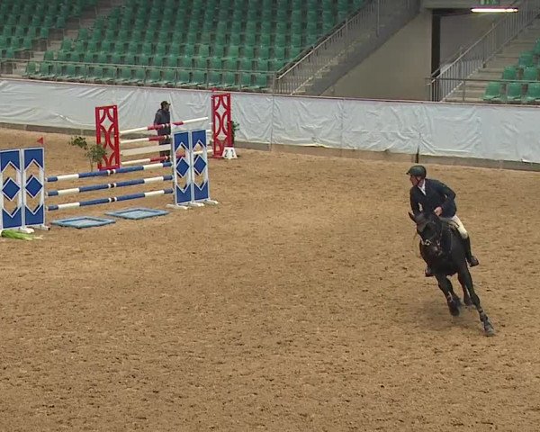 Reitturnier Kreuth/Opf. 2023