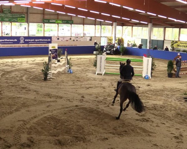 Euregio Springturnier Isterberg 2021