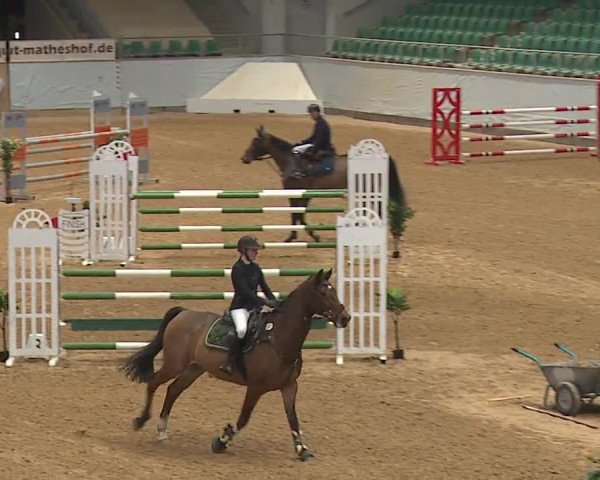Reitturnier Kreuth/Opf. 2023