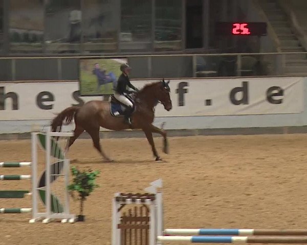 Reitturnier Kreuth/Opf. 2023
