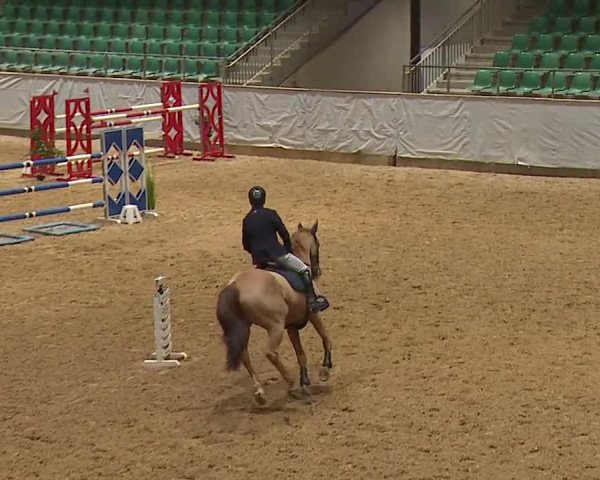 Reitturnier Kreuth/Opf. 2023